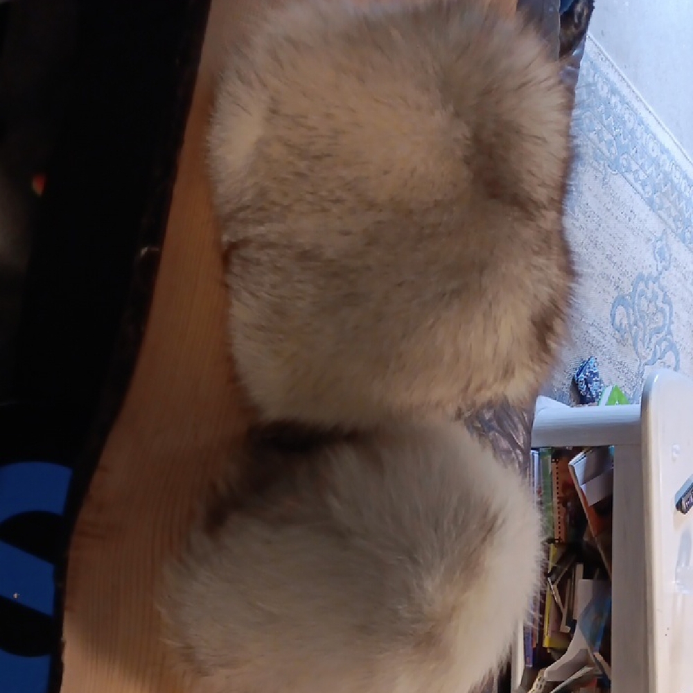 Fur Winter Accessories